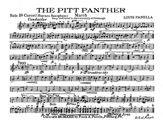 pitt panther