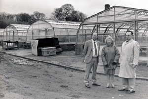 Woodhouse Nurseries demolished for new housing development - May 1996